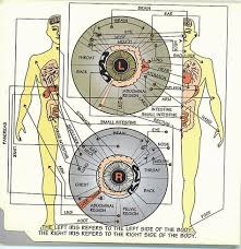 Iridology Eye Chart Balancing Mind Body And Spirit