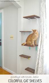 Cat Shelves Yes You Read That Right