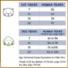 This is a great illustration of just one of the many. How Old Is My Pet In Human Years