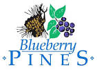 Blueberry Pines Golf Club - MNGolf.org