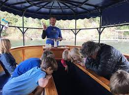 glass bottom boat tours at the meadows