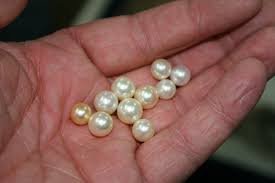 Learn About Akoya Pearls From The Experts At Pearl Paradise