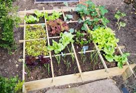 Homestead Gardening An Off Grid Life