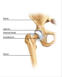 physical therapy for hip impingement
