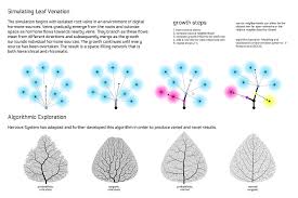poster leaf venation 2 nervous system