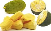 Image result for benefits of jackfruit in tamil