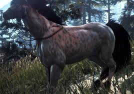 Bdo Wild Horse Tiers With Appearance