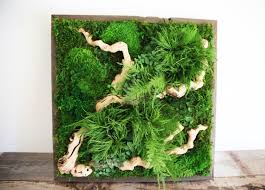 artisan moss plant paintings are