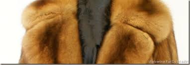 Russian Sable Coat Women S Previously