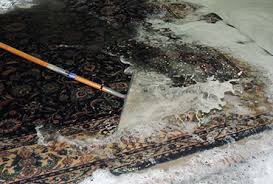 rug cleaning repair protection in