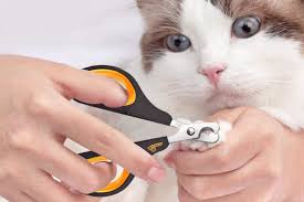 the 6 best cat nail clippers for quick
