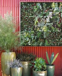 vertical succulent garden interiorzine