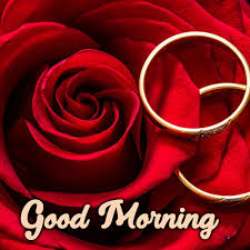 Morning is cool great and fantastic time to wish your nearest and dearest relatives. Share Stunning Good Morning Flowers Images With Your Partner Good Morning Images Quotes Wishes Messages Greetings Ecards