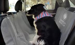 Akc Car Seat Covers For Pets Groupon