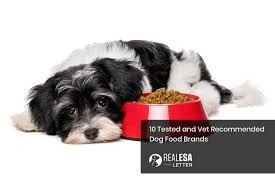 10 best vet recommended dog food brands