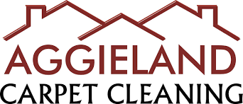 aggieland carpet cleaning reviews