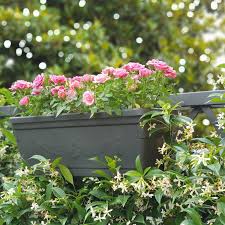It includes all the necessary hardware for an easy installation. Cute And Functional Deck Rail Planter Ideas