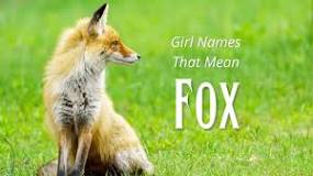 what-name-means-fox-for-a-girl