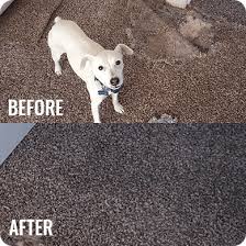 carpet repair australia 0488855534