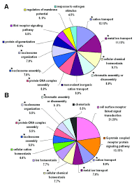 Pie Chart Of Significantly Altered Biological Processes In