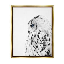 Stupell Home Decor Collection Snow Owl