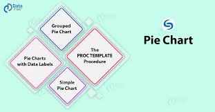 Sas Pie Chart The 5 Mins Guide To Learn The Types Of Pie