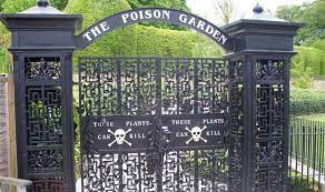 the poison garden of alnwick castle