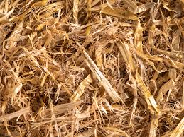 new zealand grown bedding straw for