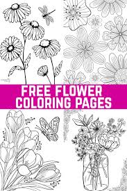 flower coloring pages to print crafty
