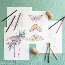 This collection of coloring pages includes all of the specimens from the native bees, butterflies & moths, and beetles learning cards. Elegant Moths Halloween Coloring Pages Lia Griffith