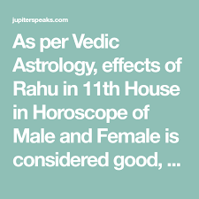 11 Best Effects Of Rahu In 11th House In Male Female