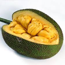 jackfruit nutrition facts and health