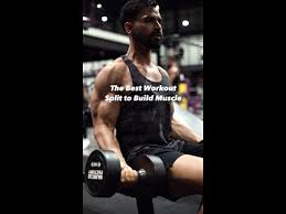 the best workout split to build muscle