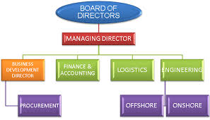 Organization Chart Sayma