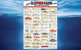 Buy Afn Canvas Fish Guide Queensland 30cm Online At