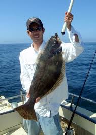 How To Catch California Halibut Tips For Fishing For Halibut
