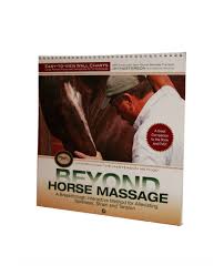 Beyond Horse Massage Easy To View Wall Chart
