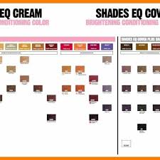 Redken Shades Eq Color Chart 9v Www Bedowntowndaytona Com