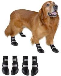 Top 13 Best Dog Shoes In 2019 Reviews The10pro