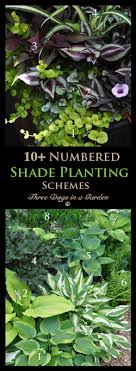 Numbered And Identified Shade Planting