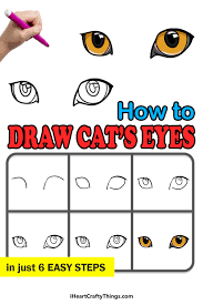 cat eyes drawing how to draw cat eyes