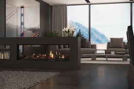 Frameless Gas Fireplaces Ds Series By