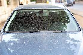 remove water spots from car windows