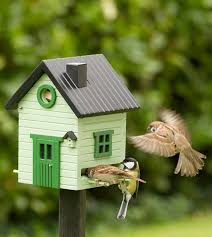 maisons à oiseaux