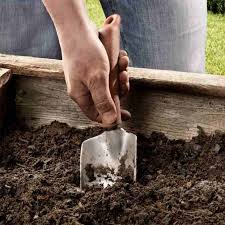 Soil Good Enough For Raised Garden Beds