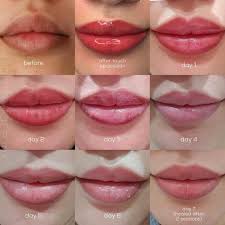 lip blush healing process day by day