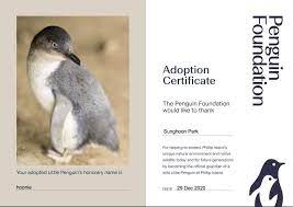 We are the only genuine adopt a penguin giving each. Omfg An Engene Adopt A Penguin And Enhypen Sunghoon Facebook