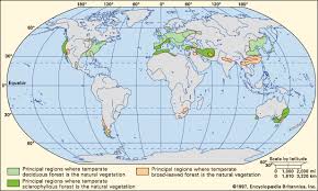 It is our topic for today! World Temperate Forest Rainforest Map Tropical Rainforest Rainforest