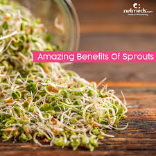 amazing benefits of sprouts netmeds