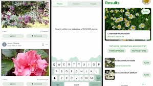 Learn and appreciate all kinds of plants: The 8 Best Plant Identification Apps Of 2021